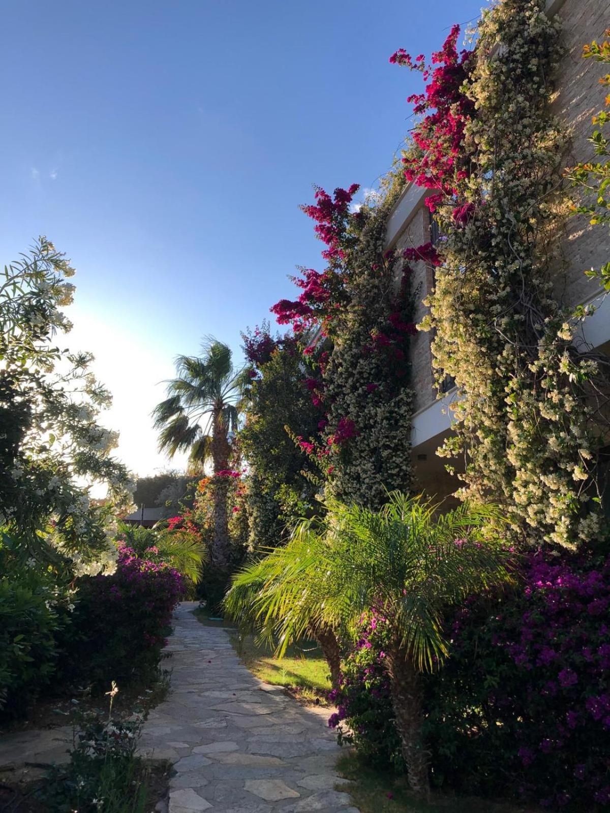Spektr Boutique Hotel&Spa Yalıkavak Extérieur photo